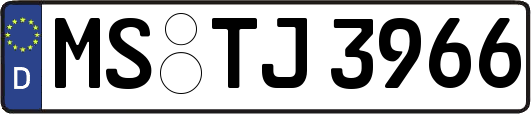 MS-TJ3966