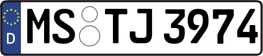 MS-TJ3974