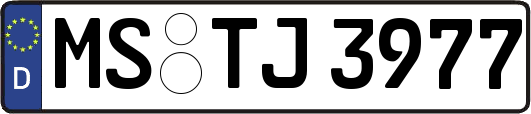 MS-TJ3977