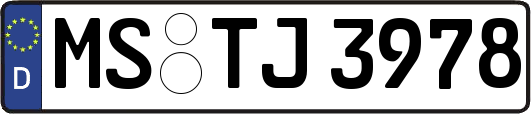 MS-TJ3978