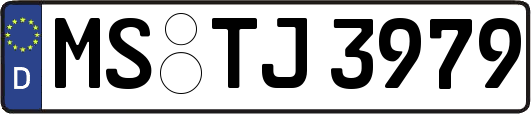 MS-TJ3979