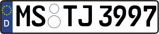 MS-TJ3997
