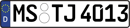 MS-TJ4013