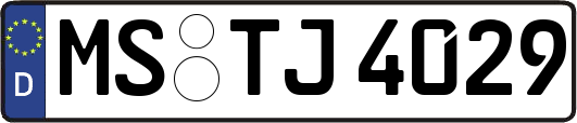 MS-TJ4029