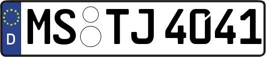 MS-TJ4041