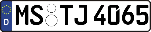 MS-TJ4065