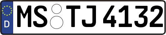 MS-TJ4132