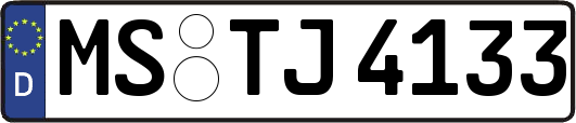 MS-TJ4133