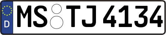 MS-TJ4134