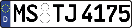 MS-TJ4175