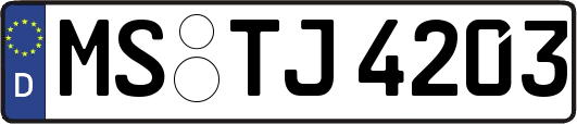 MS-TJ4203