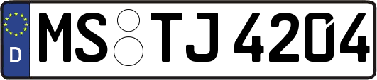 MS-TJ4204