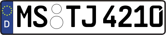 MS-TJ4210