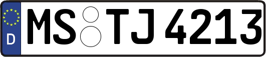 MS-TJ4213