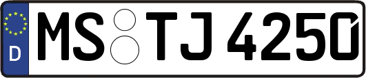 MS-TJ4250