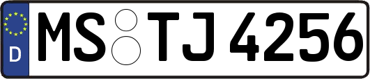 MS-TJ4256