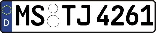 MS-TJ4261