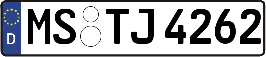 MS-TJ4262