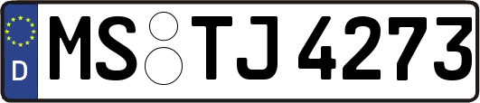 MS-TJ4273