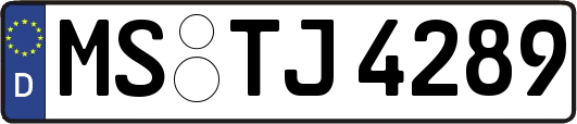 MS-TJ4289