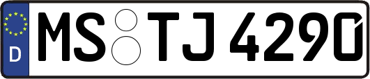 MS-TJ4290