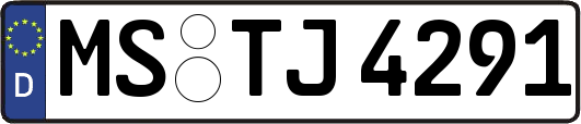 MS-TJ4291