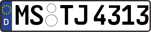 MS-TJ4313