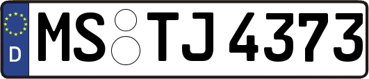 MS-TJ4373