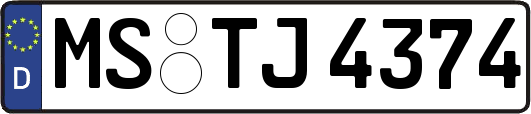 MS-TJ4374