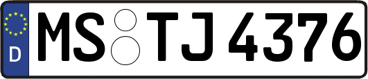 MS-TJ4376