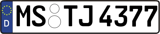 MS-TJ4377