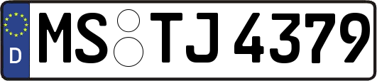 MS-TJ4379