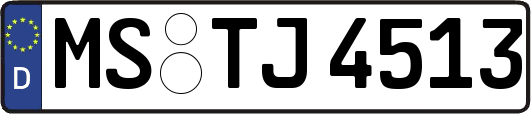 MS-TJ4513