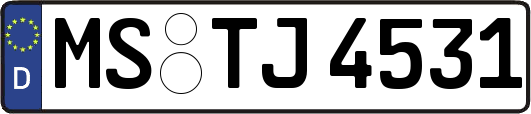 MS-TJ4531