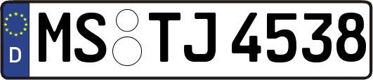 MS-TJ4538