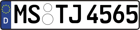 MS-TJ4565