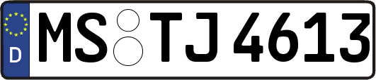 MS-TJ4613
