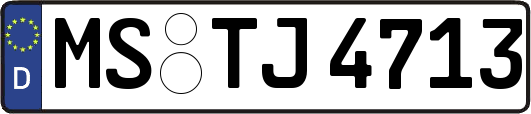 MS-TJ4713