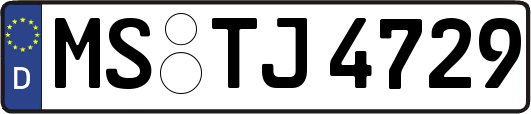 MS-TJ4729