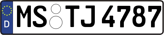 MS-TJ4787