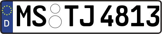 MS-TJ4813