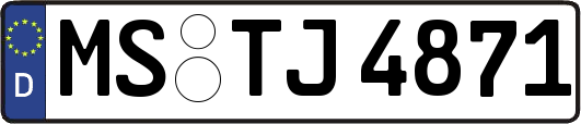 MS-TJ4871