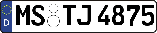 MS-TJ4875