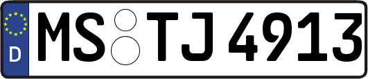 MS-TJ4913