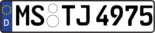 MS-TJ4975
