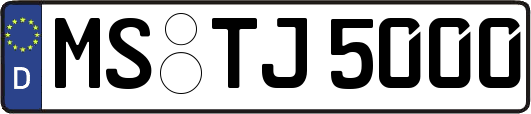 MS-TJ5000