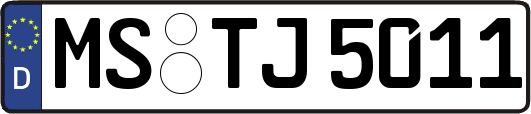 MS-TJ5011