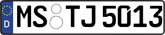 MS-TJ5013