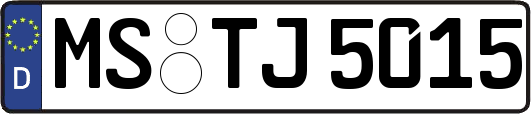 MS-TJ5015