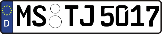 MS-TJ5017